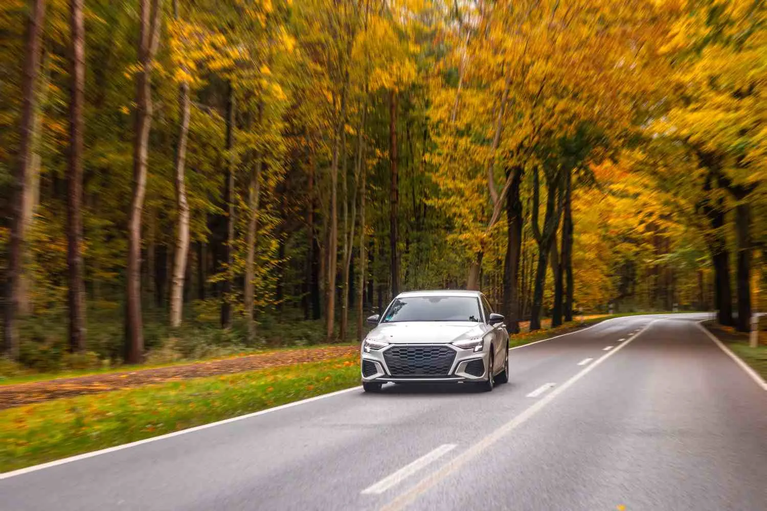 Silver sedan driving down a quiet road lined with tall trees
